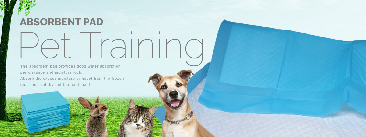 absorbent-pad-for-dog-training
