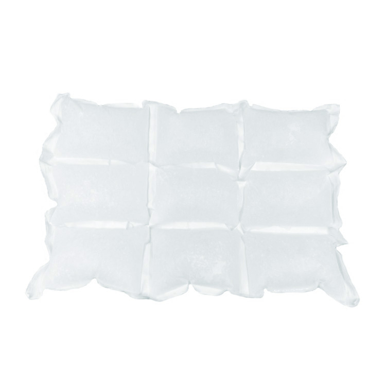 Dry Ice Packs