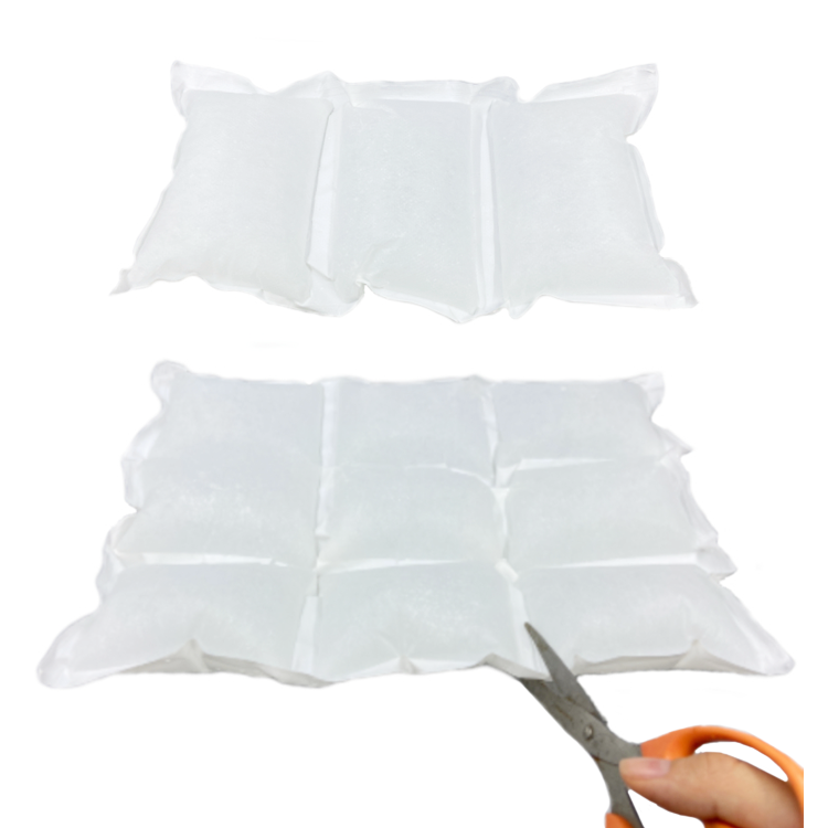 Dry Ice Packs