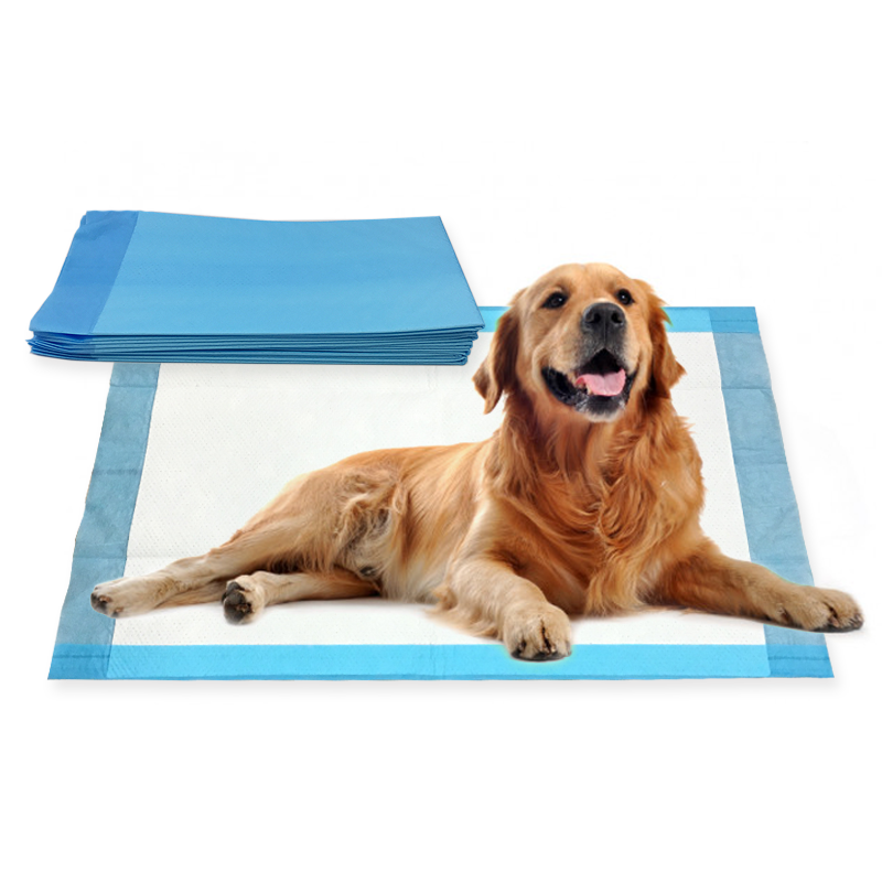 Dog Training Pad