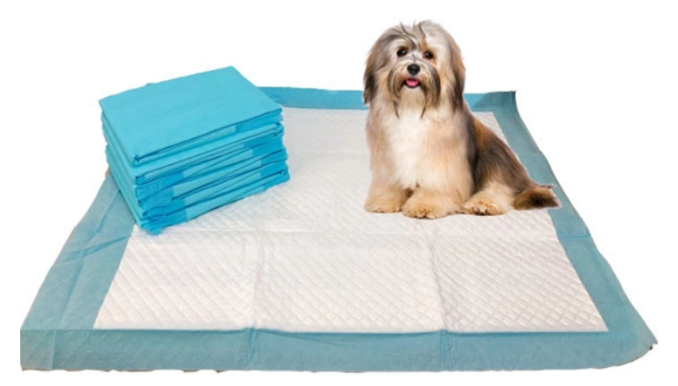 puppy-training-pads